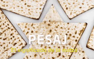 matza 2